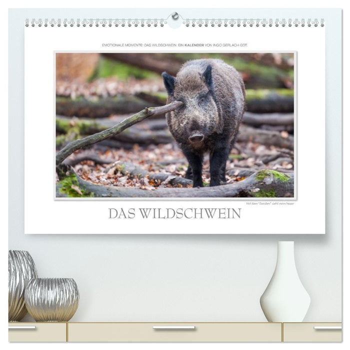 Emotionale Momente: Das Wildschwein. / CH-Version (CALVENDO Premium Wandkalender 2026)