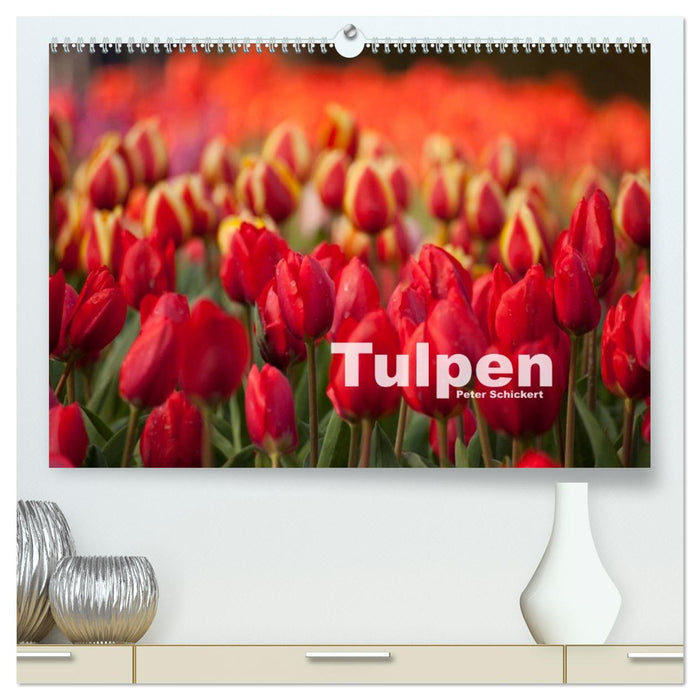 Tulpen (CALVENDO Premium Wandkalender 2026)