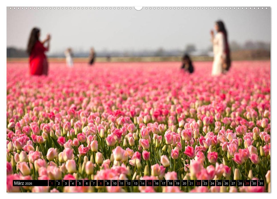 Tulpen (CALVENDO Premium Wandkalender 2026)