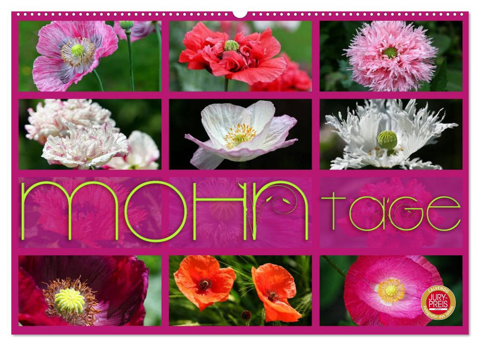 Mohn Tage (CALVENDO Wandkalender 2026)