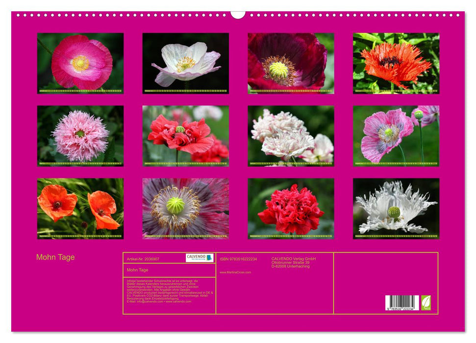 Mohn Tage (CALVENDO Wandkalender 2026)