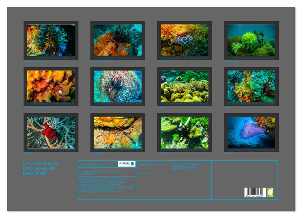 Unterwasserwelt - Das Leben am Korallenriff (CALVENDO Wandkalender 2026)