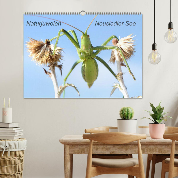 Naturjuwelen - Neusiedler See (CALVENDO Wandkalender 2026)