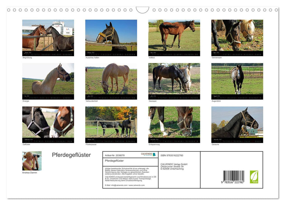 Pferdegeflüster (CALVENDO Wandkalender 2026)