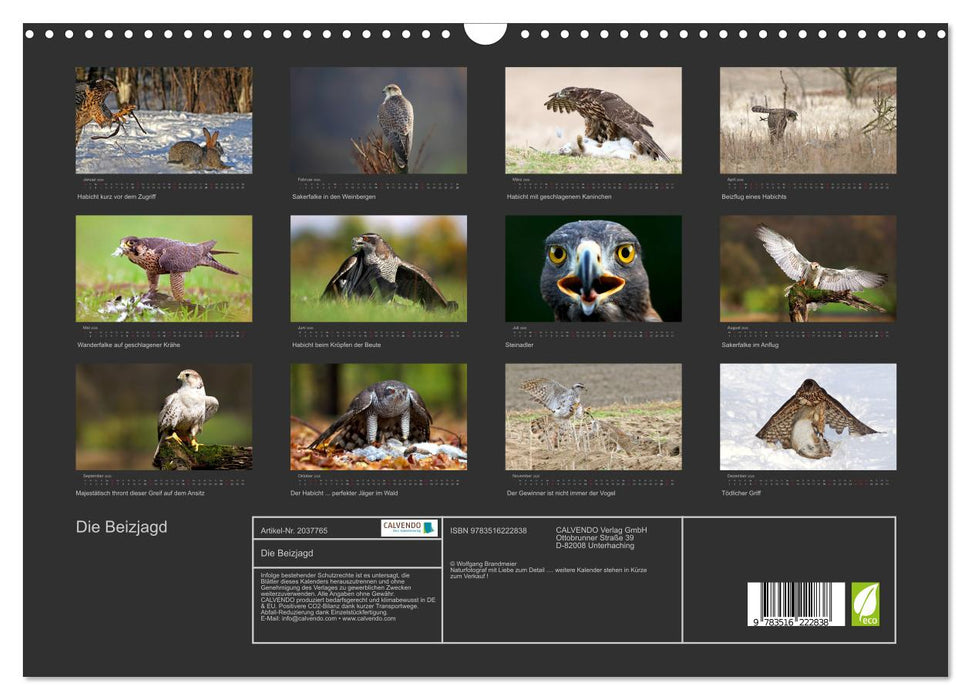 Die Beizjagd (CALVENDO Wandkalender 2026)