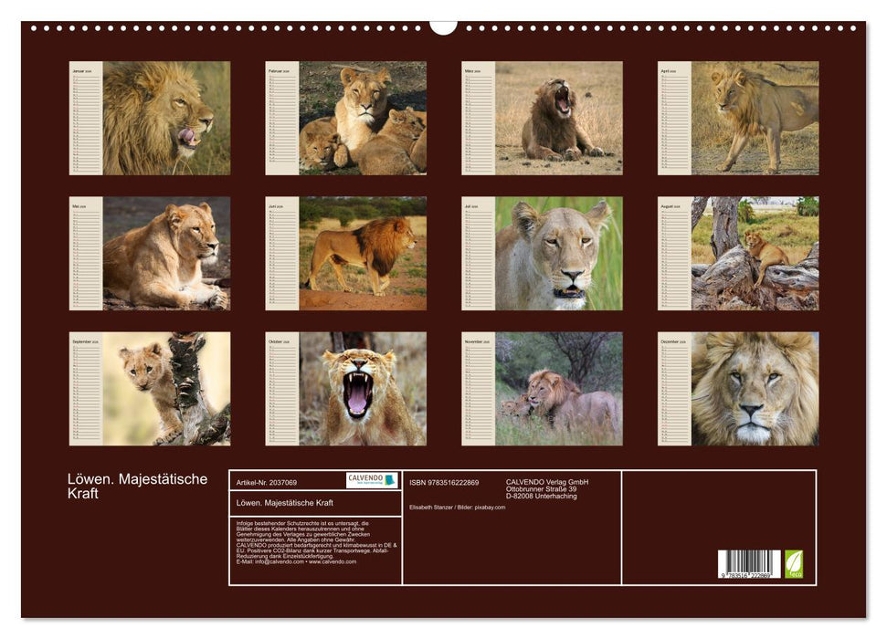 Löwen. Majestätische Kraft (CALVENDO Wandkalender 2026)