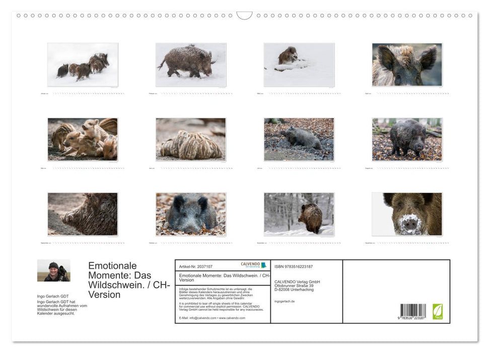 Emotionale Momente: Das Wildschwein. / CH-Version (CALVENDO Wandkalender 2026)