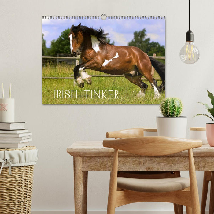 Irish Tinker (CALVENDO Wandkalender 2026)