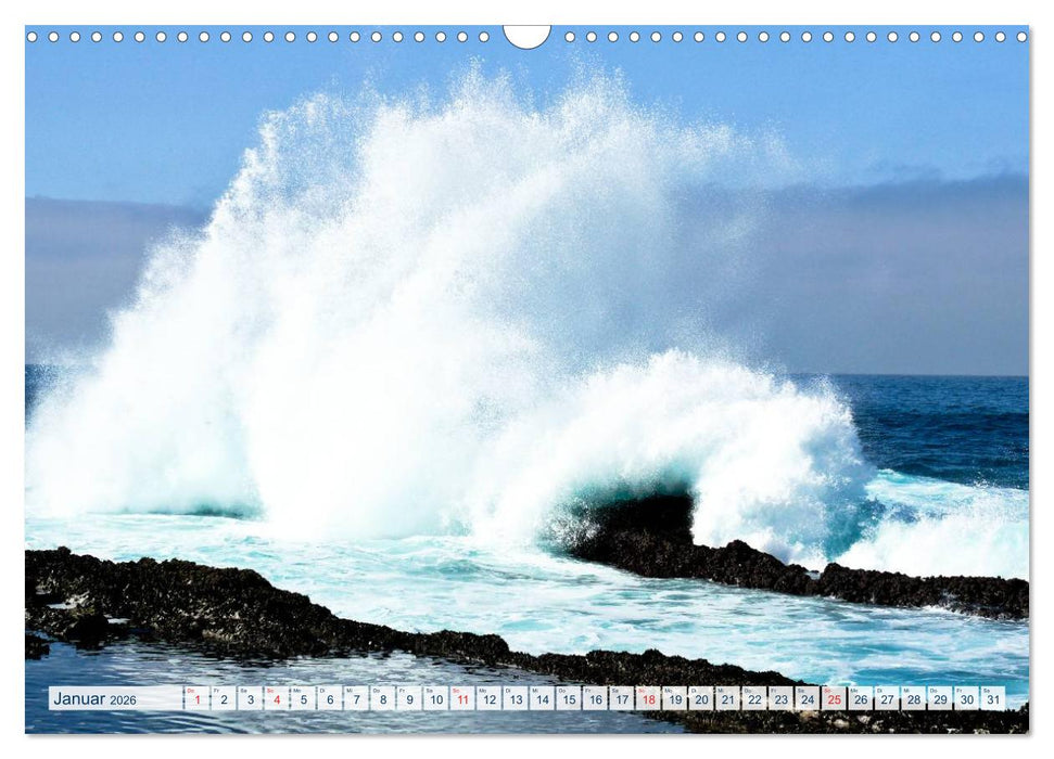 Südafrika - Mee(h)r vom Kap (CALVENDO Wandkalender 2026)
