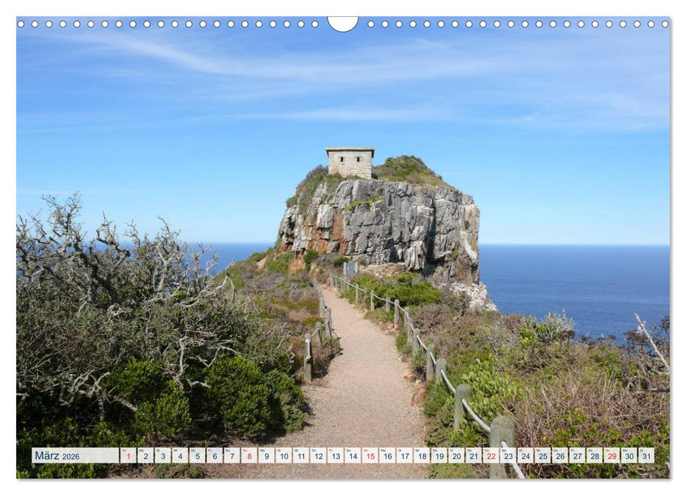 Südafrika - Mee(h)r vom Kap (CALVENDO Wandkalender 2026)