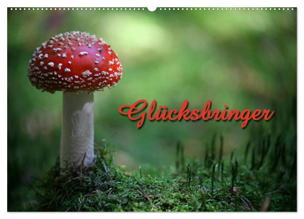 Glücksbringer (CALVENDO Wandkalender 2026)