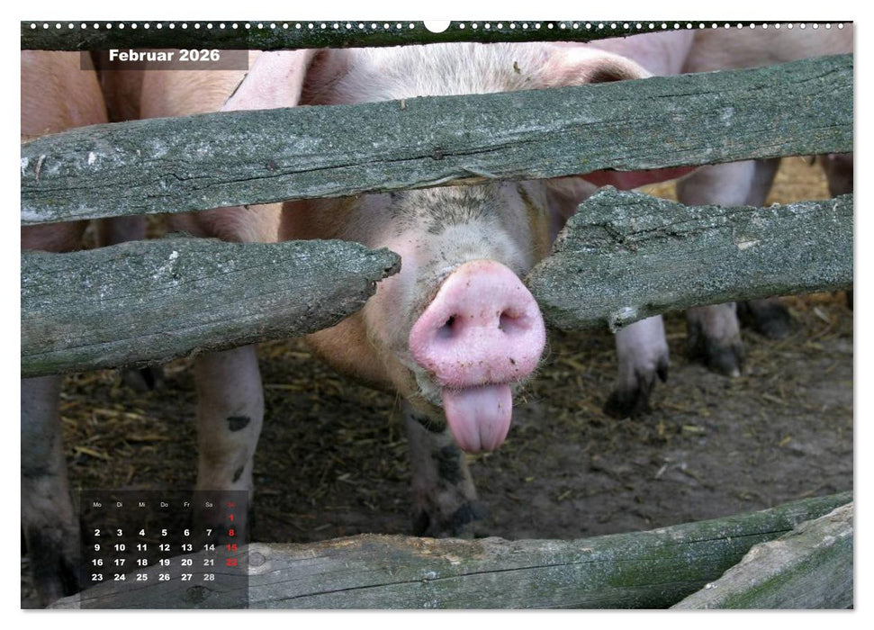 Glücksbringer (CALVENDO Wandkalender 2026)