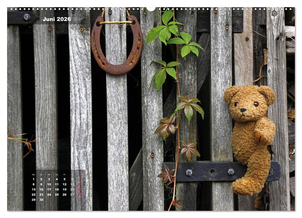 Glücksbringer (CALVENDO Wandkalender 2026)