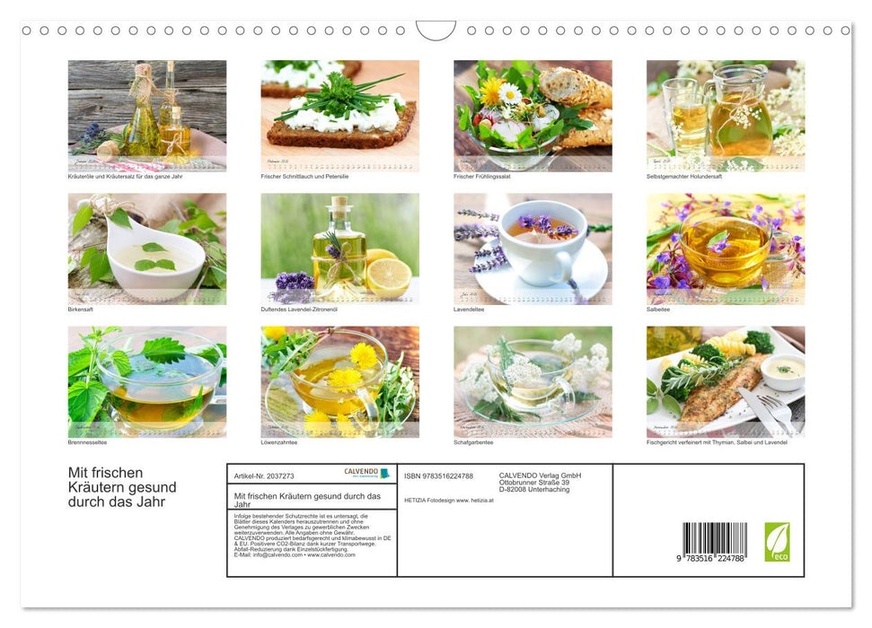 Mit frischen Kräutern gesund durch das Jahr (CALVENDO Wandkalender 2026)