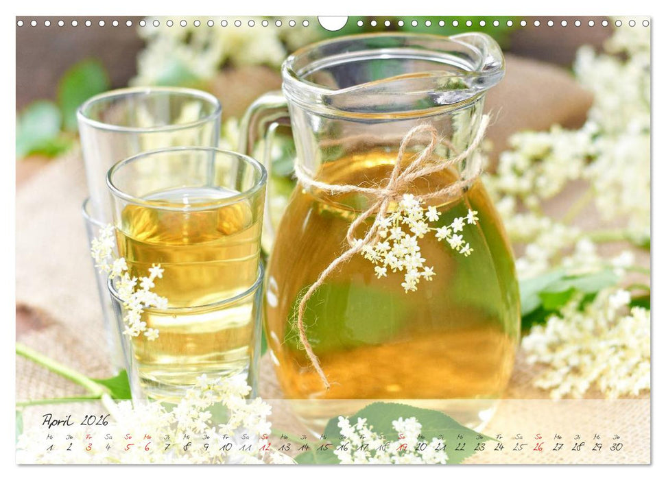 Mit frischen Kräutern gesund durch das Jahr (CALVENDO Wandkalender 2026)
