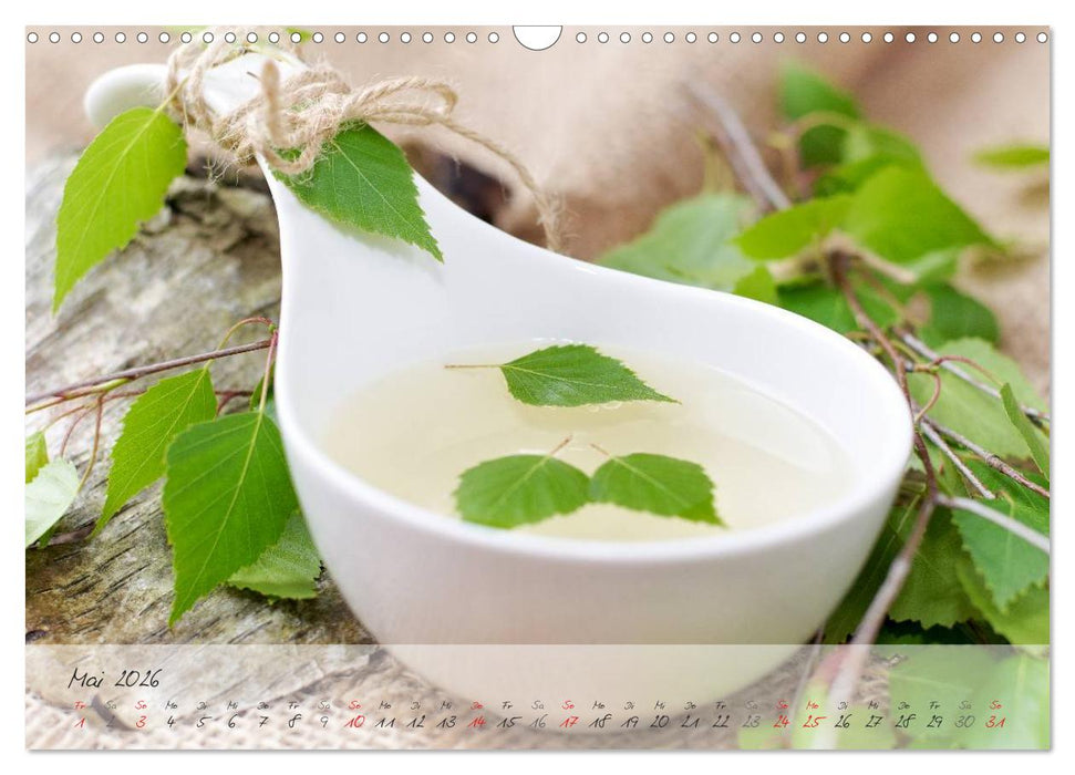 Mit frischen Kräutern gesund durch das Jahr (CALVENDO Wandkalender 2026)