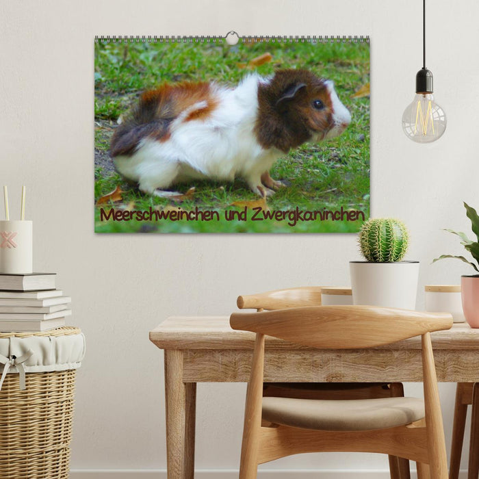 Meerschweinchen und Zwergkaninchen (CALVENDO Wandkalender 2026)