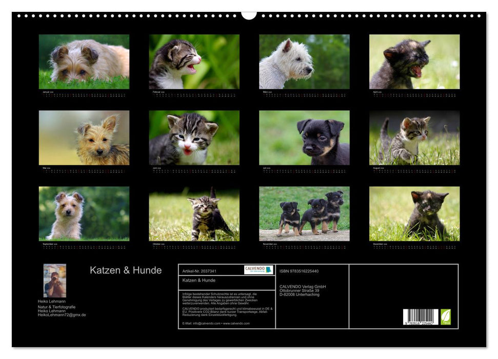 Katzen & Hunde (CALVENDO Wandkalender 2026)