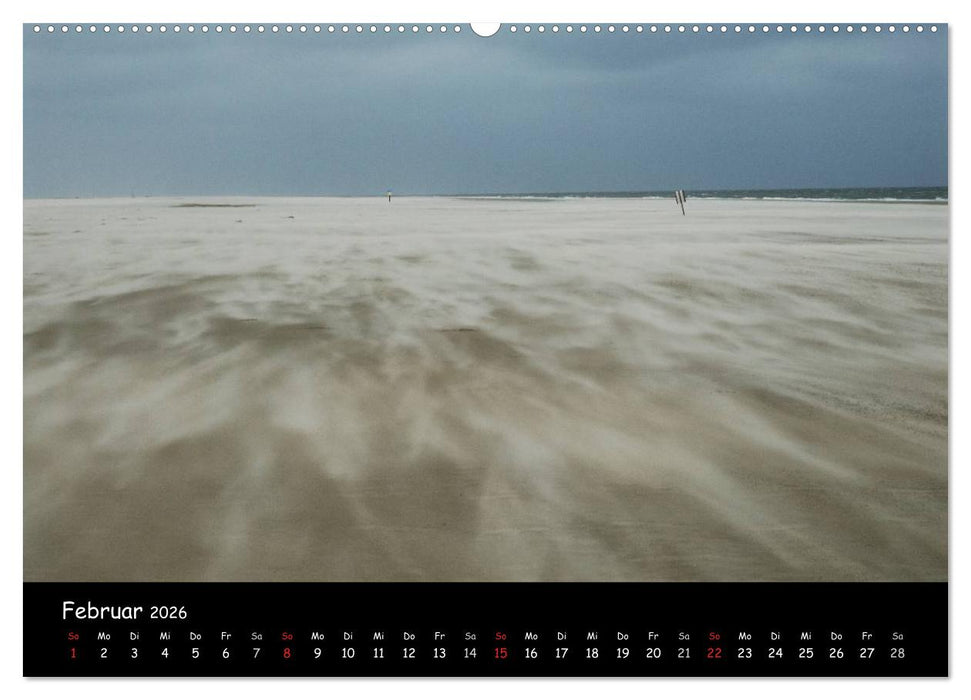 Amrum (CALVENDO Wandkalender 2026)