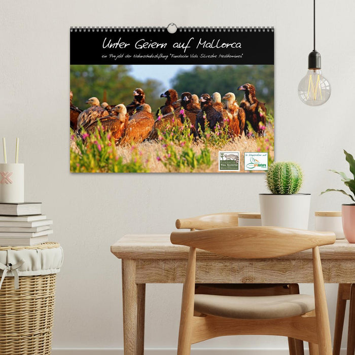 Unter Geiern auf Mallorca: Ein Projekt der Naturschutzstiftung Vida Silvestre Mediterránea (CALVENDO Wandkalender 2026)