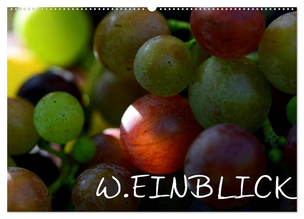 W.EINBLICK (CALVENDO Wandkalender 2026)