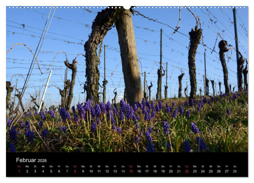 W.EINBLICK (CALVENDO Wandkalender 2026)