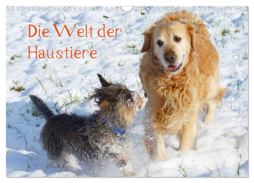 Die Welt der Haustiere (CALVENDO Wandkalender 2026)