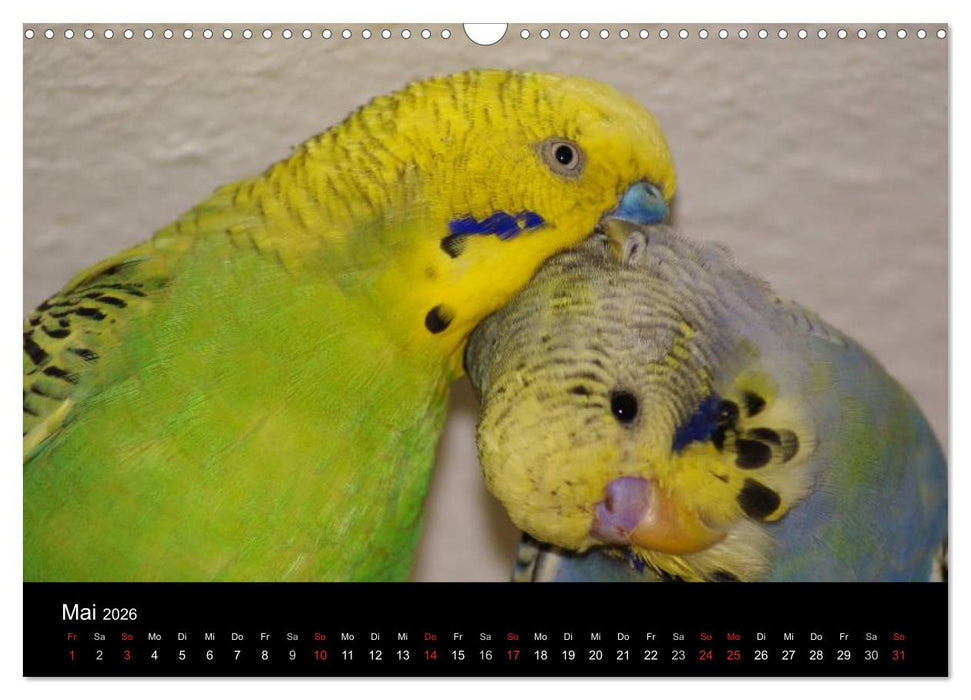 Die Welt der Haustiere (CALVENDO Wandkalender 2026)