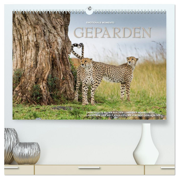 Emotionale Momente: Geparden (CALVENDO Premium Wandkalender 2026)