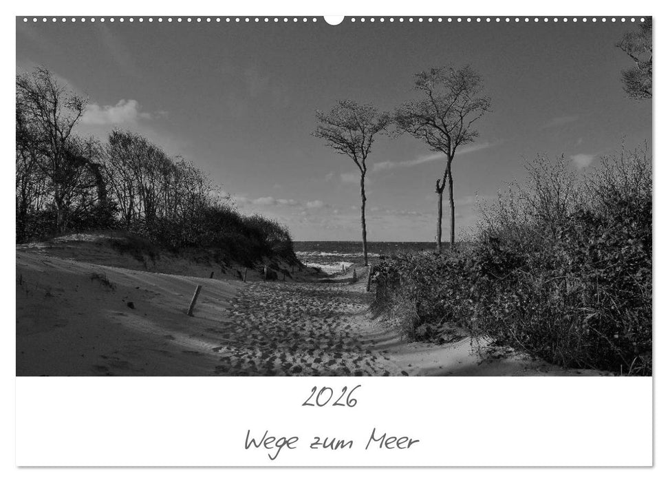 Wege zum Meer (CALVENDO Wandkalender 2026)
