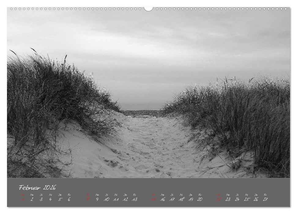 Wege zum Meer (CALVENDO Wandkalender 2026)