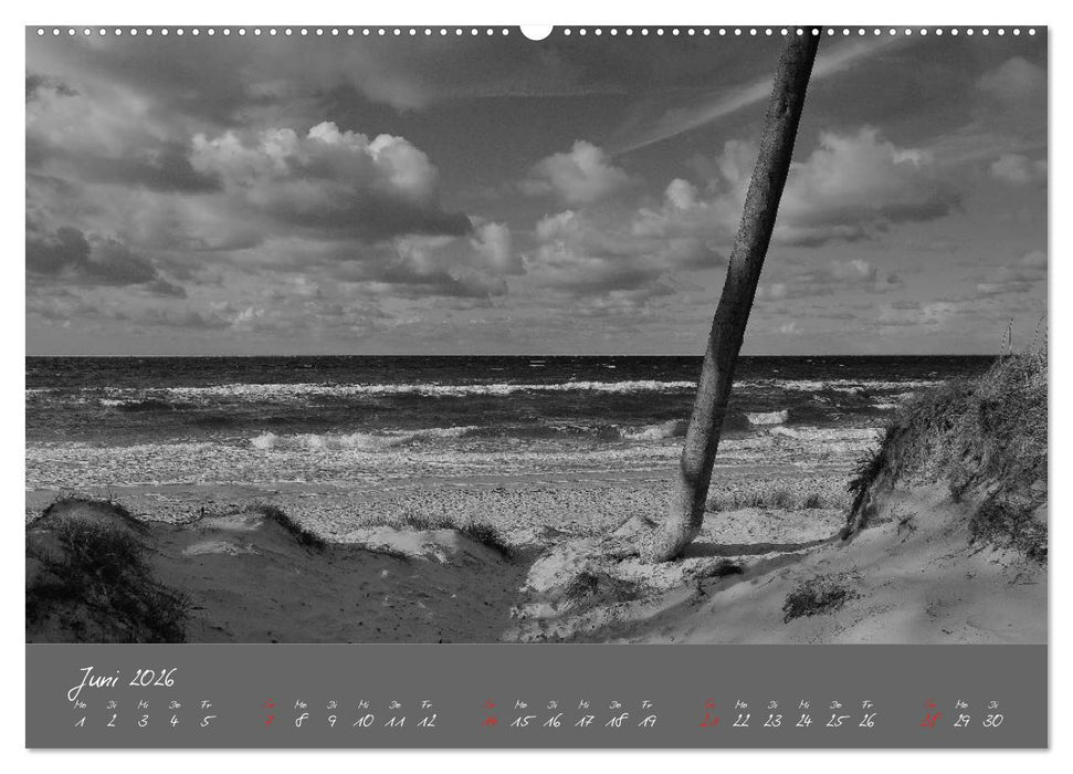 Wege zum Meer (CALVENDO Wandkalender 2026)