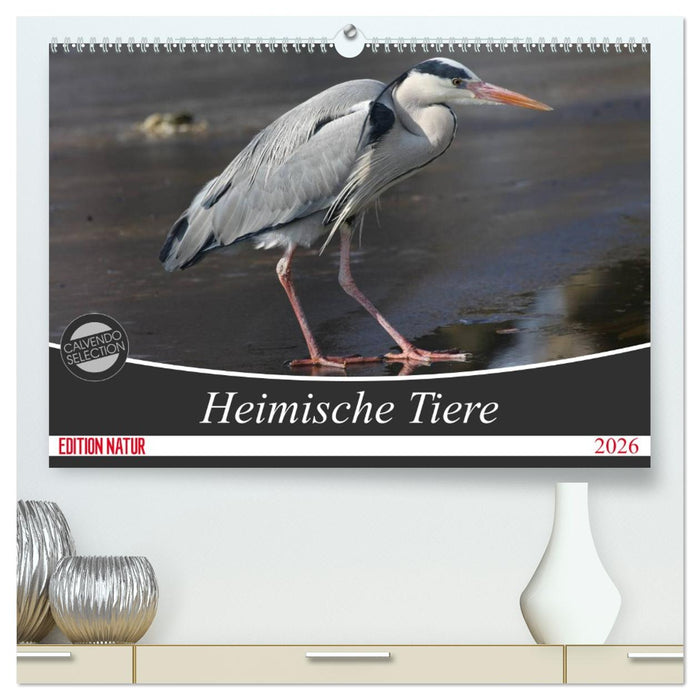 Heimische Tiere (CALVENDO Premium Wandkalender 2026)