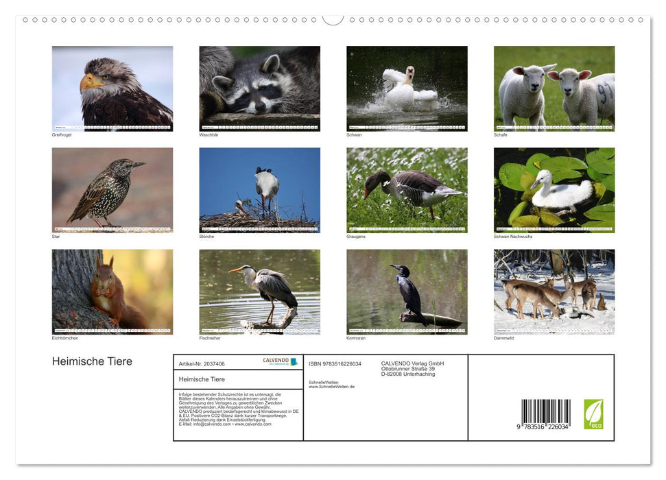 Heimische Tiere (CALVENDO Premium Wandkalender 2026)