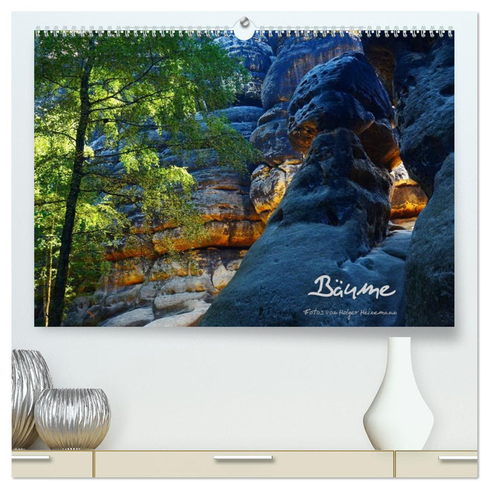 Bäume (CALVENDO Premium Wandkalender 2026)