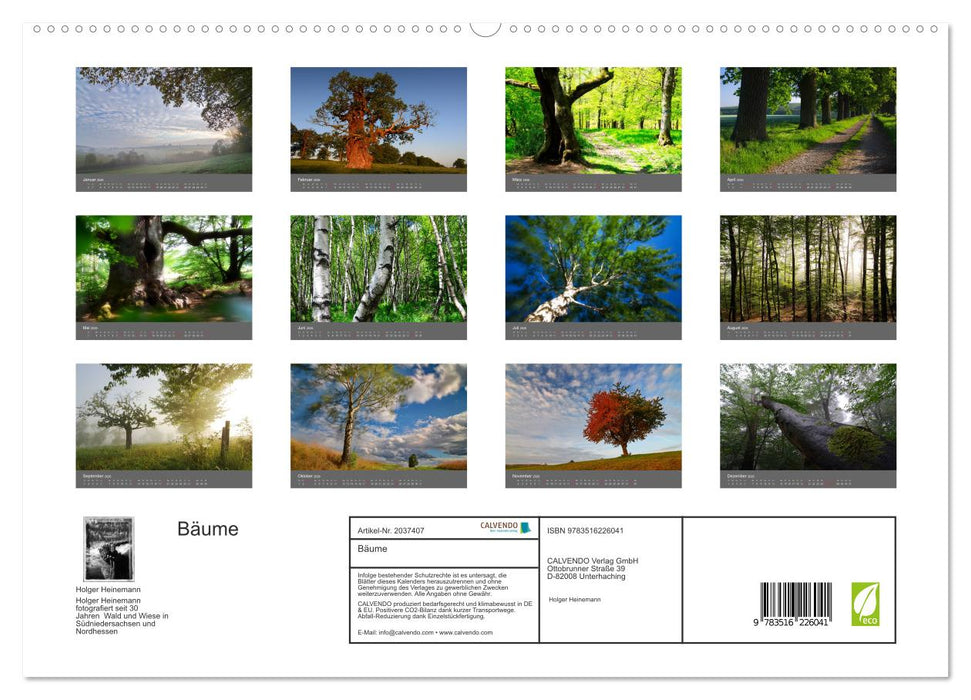 Bäume (CALVENDO Premium Wandkalender 2026)