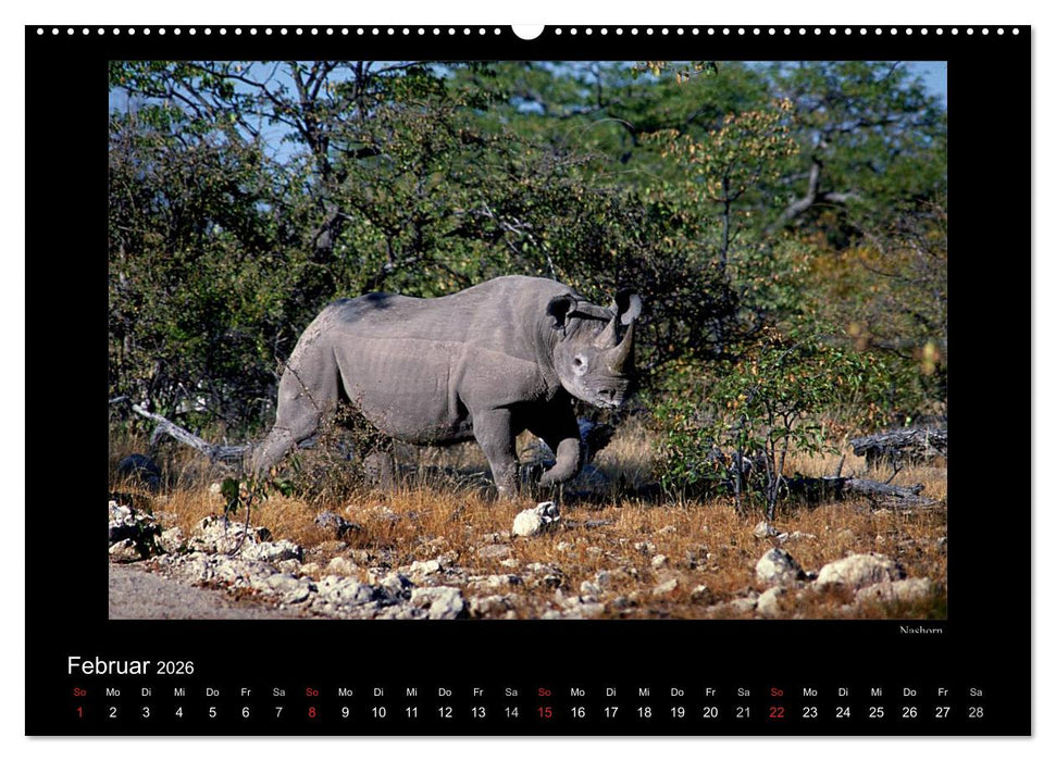 Wildtiere im Etosha Nationalpark (CALVENDO Wandkalender 2026)