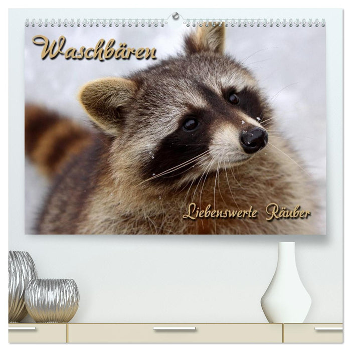 Waschbären (CALVENDO Premium Wandkalender 2026)