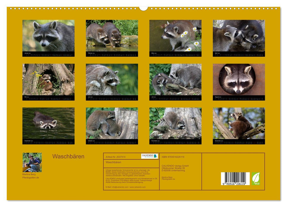 Waschbären (CALVENDO Premium Wandkalender 2026)