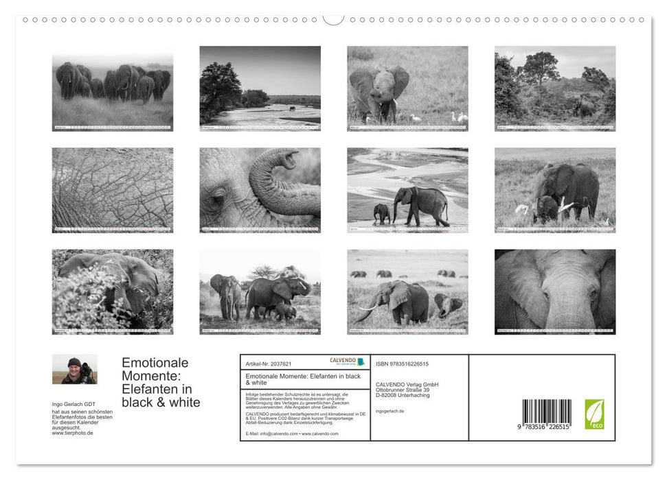 Emotionale Momente: Elefanten in black & white (CALVENDO Premium Wandkalender 2026)