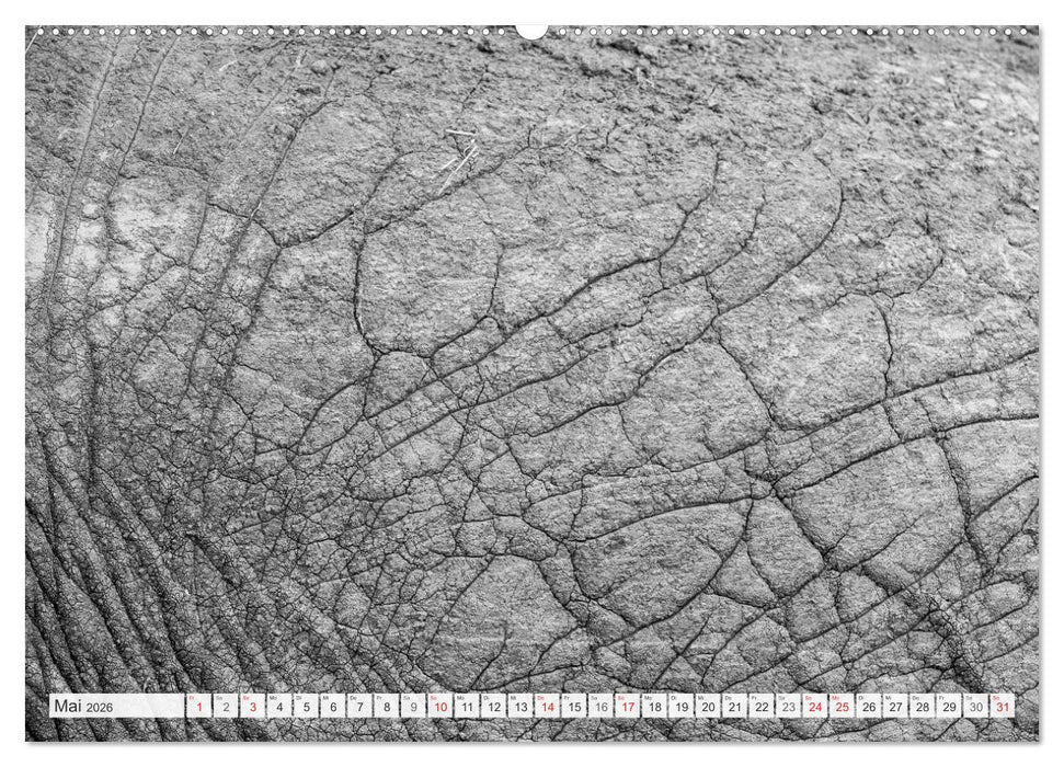 Emotionale Momente: Elefanten in black & white (CALVENDO Premium Wandkalender 2026)