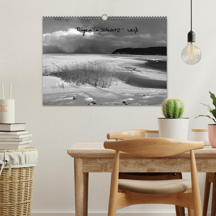 Rügen in schwarz-weiß (CALVENDO Wandkalender 2026)