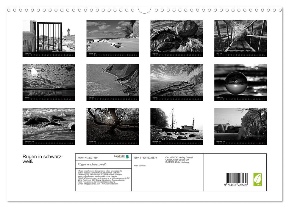Rügen in schwarz-weiß (CALVENDO Wandkalender 2026)