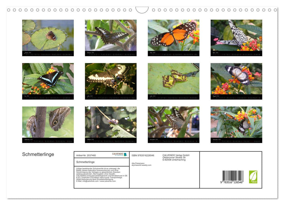 Schmetterlinge (CALVENDO Wandkalender 2026)