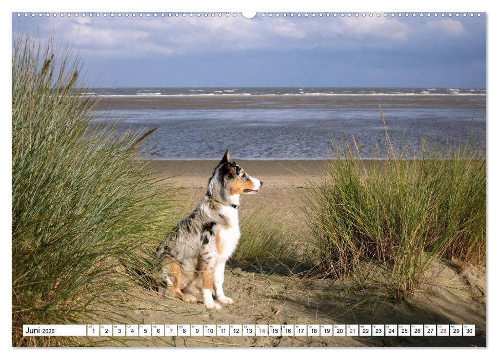 Ouddorp - Nordseeperle (CALVENDO Premium Wandkalender 2026)