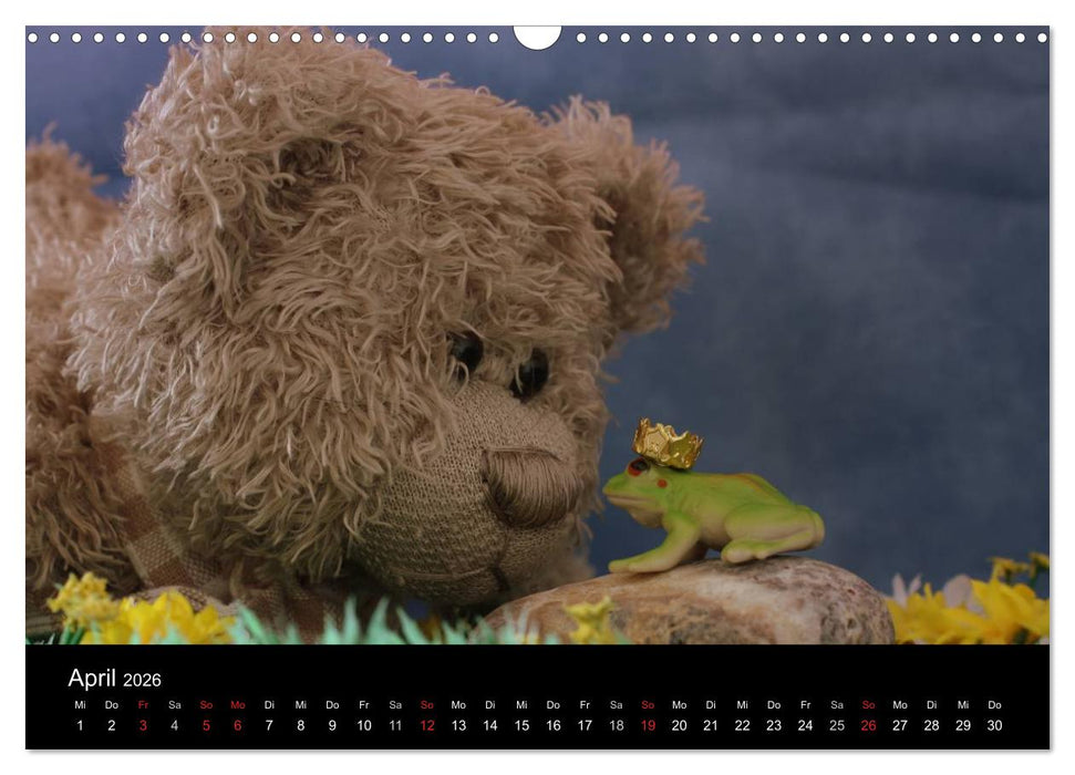 Bärentraum (CALVENDO Wandkalender 2026)