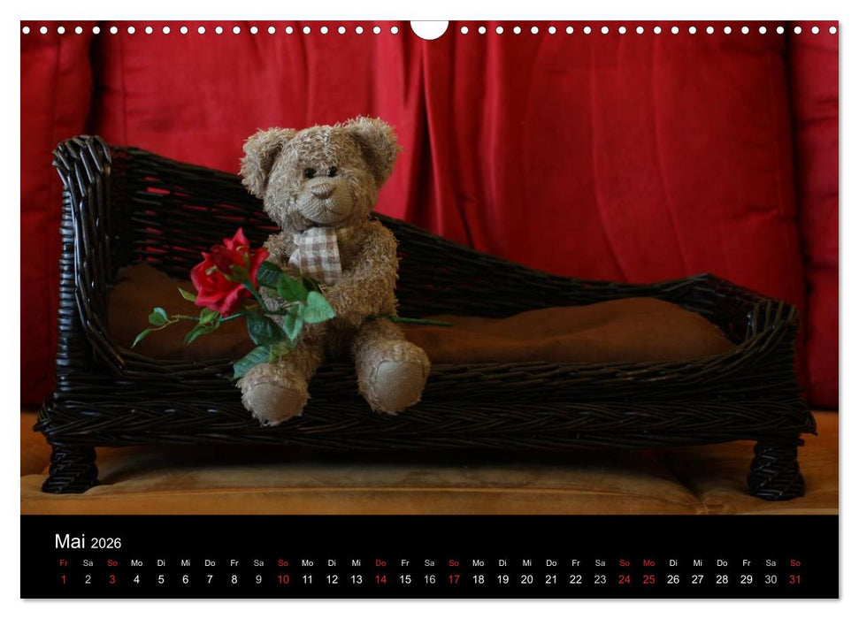 Bärentraum (CALVENDO Wandkalender 2026)