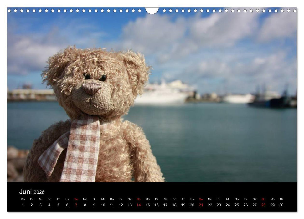 Bärentraum (CALVENDO Wandkalender 2026)