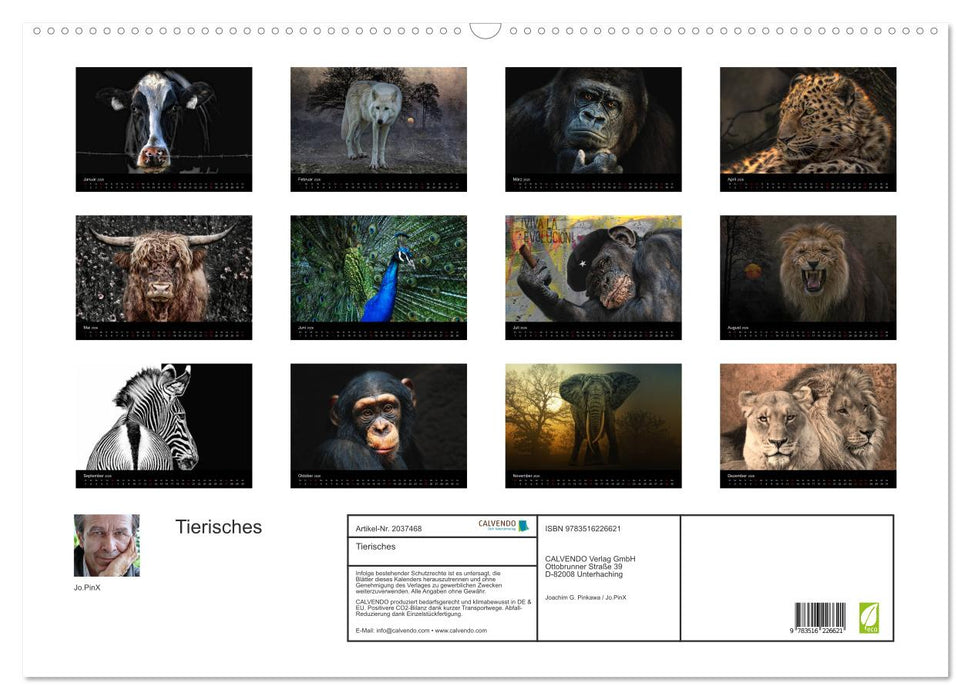 Tierisches (CALVENDO Wandkalender 2026)