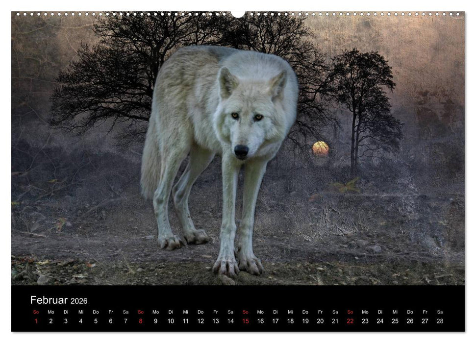 Tierisches (CALVENDO Wandkalender 2026)